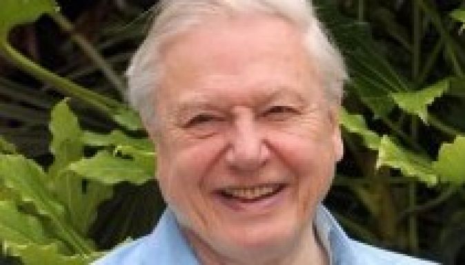 Attenborough nevét kapta egy 20 millió éves szöcske