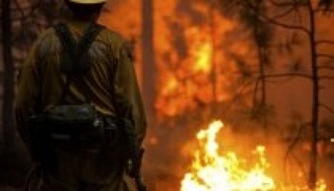 Kaliforniában szükségállapotot hirdettek ki az erdőtüzek miatt