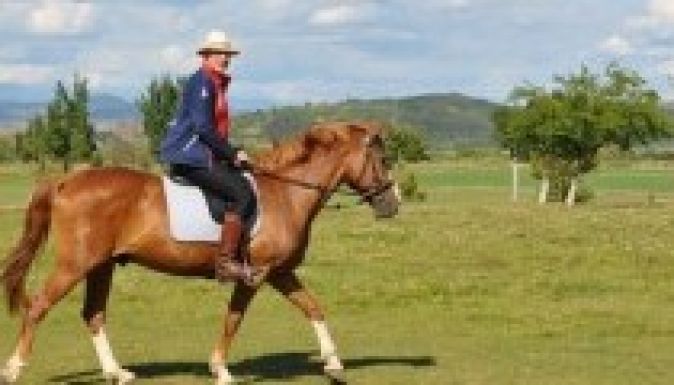 Segesvárig lovagol Moszkvából egy brit ügyvéd