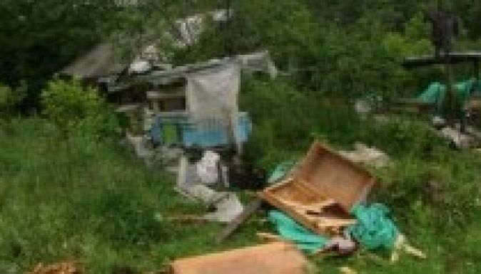 Rengeteg a vadkár Hargita megyében