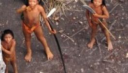 Banánnal várták Brazíliában az eddig elszigetelten élt bennszülötteket