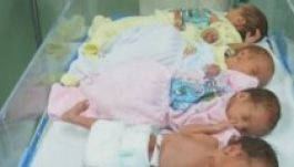 Négyesikreket szült a háború közepén