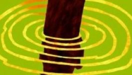 Sepsiszentgyörgy Székelyföld Kulturális Fővárosáért: gazdag program