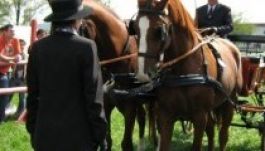 Székelyföldi Lovas Ünnep lesz Gyergyószentmiklóson