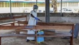 Összehívták a WHO válságbizottságát ebola-ügyben