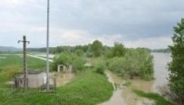 Általános kárt okoz a termésben a túl sok csapadék