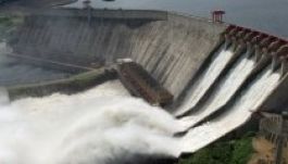 Képviseletet nyit a Hidroelectrica Budapesten és Belgrádban