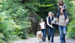 Nem félünk és okosabbak is vagyunk, ha eleget mozgunk