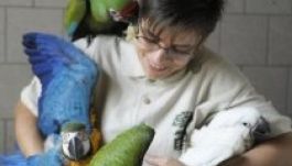 Papagájoknak nyitottak ovit Nyíregyházán