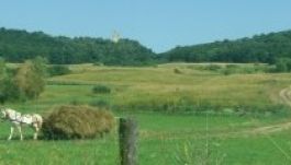 Váralmási vár: az ostromok és feledés áldozata