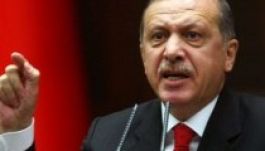 Békéltető szerepet vár Erdogantól az EU