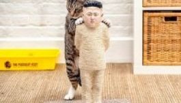 Karmoltassa meg a macskájával Putyint!