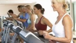 Izadtságból nyernek energiát amerikai kutatók