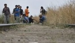 A zöld határon is bejuthat az ebola Magyarországra