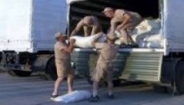 Tíz ukrán városba vitt csaknem száz tonna segélyt a Vöröskereszt