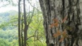 Didergős reggelre ébredtünk kedden