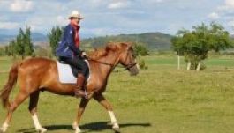 Segesvárig lovagol Moszkvából egy brit ügyvéd