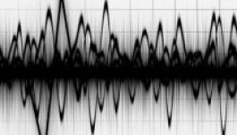 Nagyobbacskát rengett a föld Székelyföld közelében
