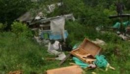 Rengeteg a vadkár Hargita megyében