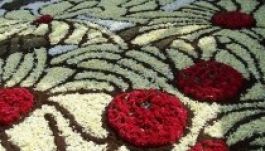 Forgalomkorlátozás és virágszőnyeg a Kolozsvári Magyar Napokon