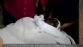 Meghalt a lelátóról megdobott futballista (VIDEÓ)