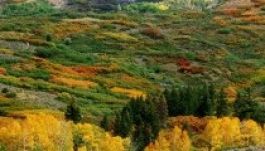 Verőfényes, de hűvös lesz az idő a következő napokban