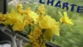 Hamarosan chartervonatokat is indít a CFR