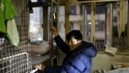 Több tízezer ember él ketreclakásban a világon