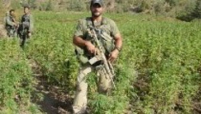 Marihuánát termeszt az olasz hadsereg