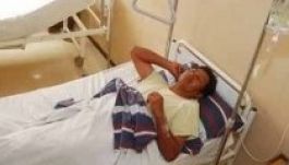 Többen is Dengue-lázban szenvednek Japánban