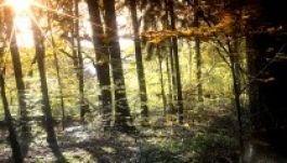 Nyárias meleg lesz szeptember első két napján