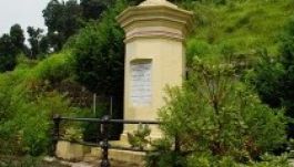 Csomakőrösről származó diófát visznek Indiába