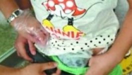 Alsónadrágjában csempészte teknősét a kisfiú