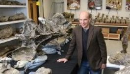 A legnagyobb dinoszauruszt találták meg