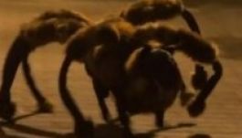 Ez a világ egyik legszemetebb átverése (VIDEÓ)