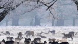 Végleg búcsúzunk a kemény telektől Romániában?