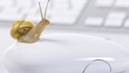 Szerdán lelassul az internet – kell ilyen nap is (?)