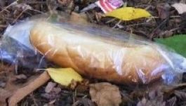 Nem kelendő a messziről jött ingyen tízórai