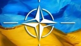 Nem lesz népszavazás Ukrajnában a NATO-tagságról