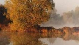 Táj- és vadfotók a Vigadó Művelődési Házban