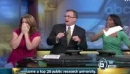 Stúdióba tévedő denevér borította a híradó menetét