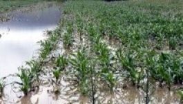 Pénzt utalnak az árvíz okozta károk javítására Székelyföldön