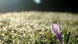 Mínusz három fokot mértek a reggel Csíkszeredában