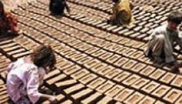 Európai projekt indul Egyiptomban a gyermekmunka ellen