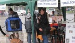 Megkezdődött a Civil Szervezetek Vására Aradon