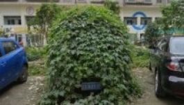 Ezt történik, ha hosszú ideig hagyjuk parkolóban az autónkat (FOTÓK)