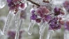 Ilyen hideg még nem volt idén ősszel Csíkszeredában