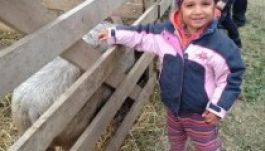 Falu költözött Csíkszeredába egy hétvégére