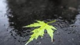 Október lehűléssel és esővel érkezik Erdélybe