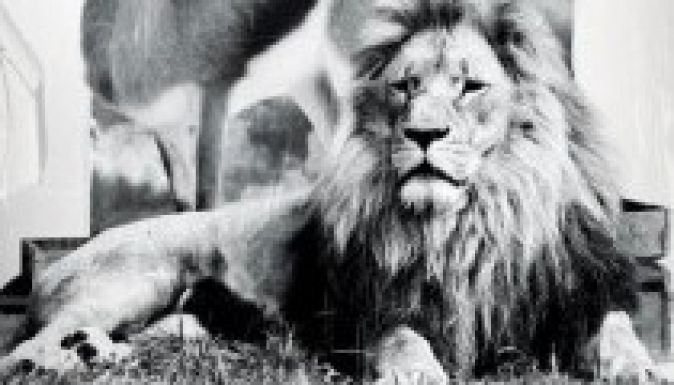 Molnár Ferenc Liliomját mutatja be a Szigligeti Színház